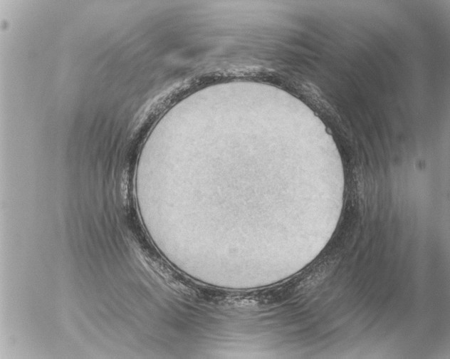 X0000054430640200508262348