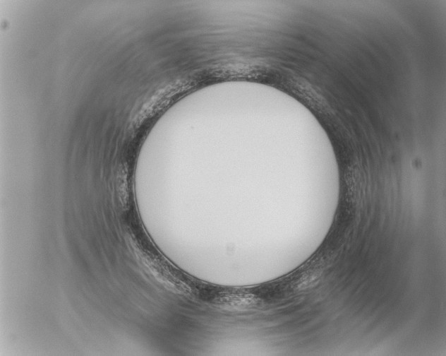 X0000054430642200508262348