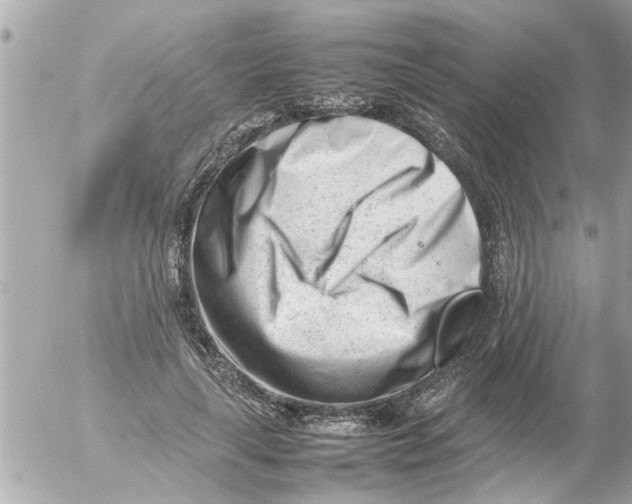 X0000054430643200508262348