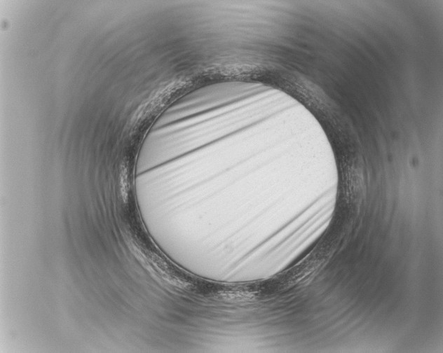 X0000054430644200508262348