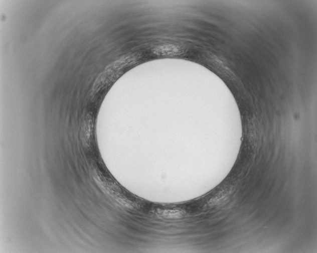 X0000054430645200508262348