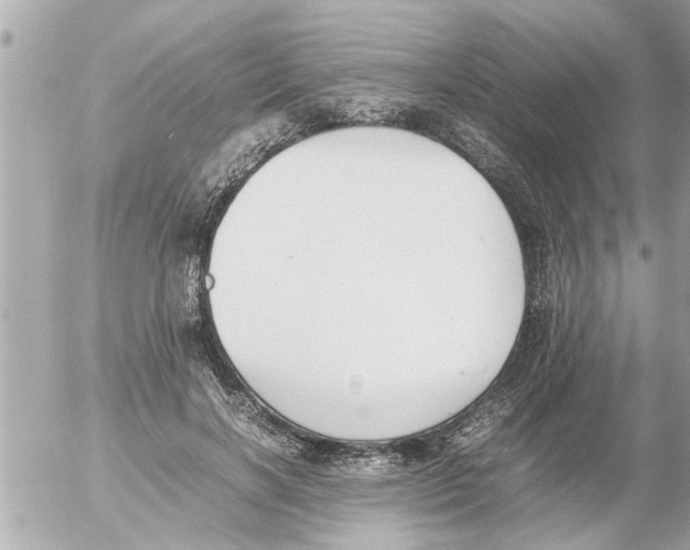 X0000054430646200508262348