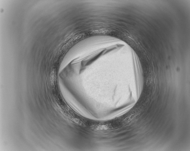 X0000054430647200508262348