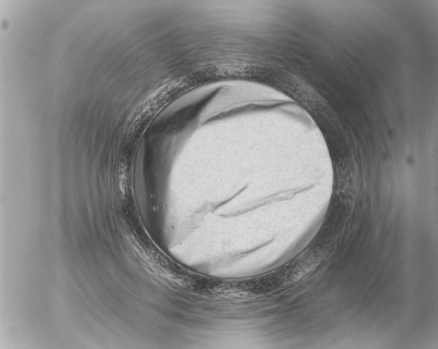 X0000054430648200508262348