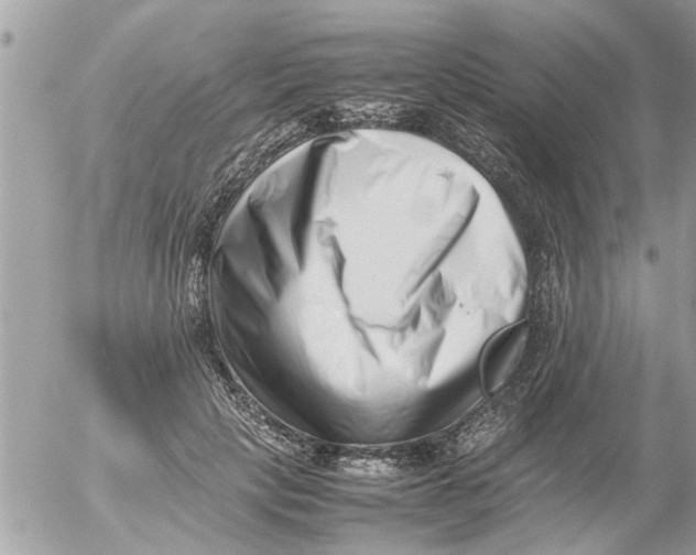 X0000054430649200508262348