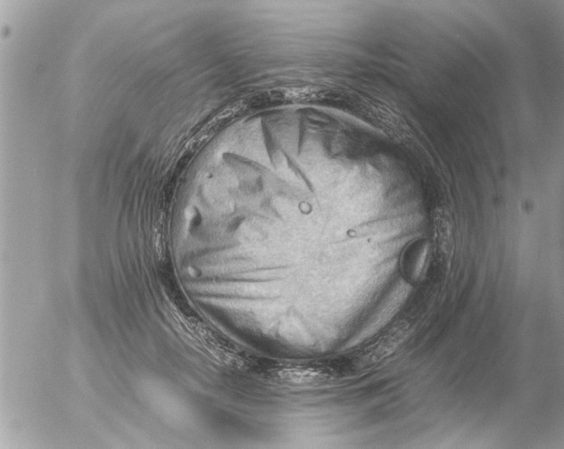 X0000054430650200508262348