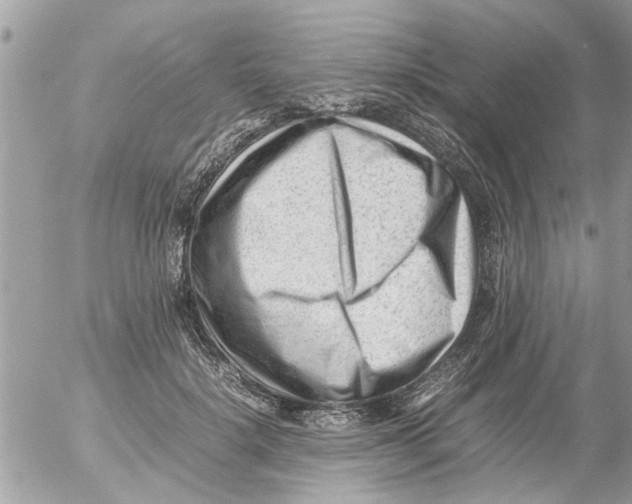 X0000054430652200508262349