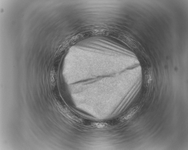 X0000054430654200508262349