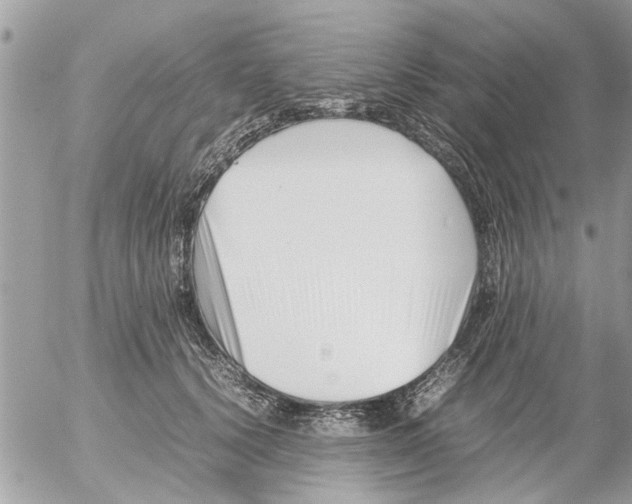 X0000054430656200508262349