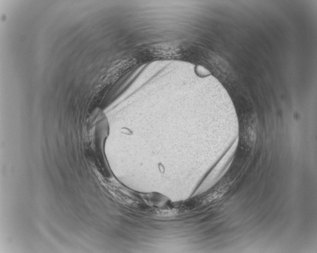 X0000054430658200508262349