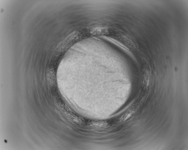 X0000054430659200508262349