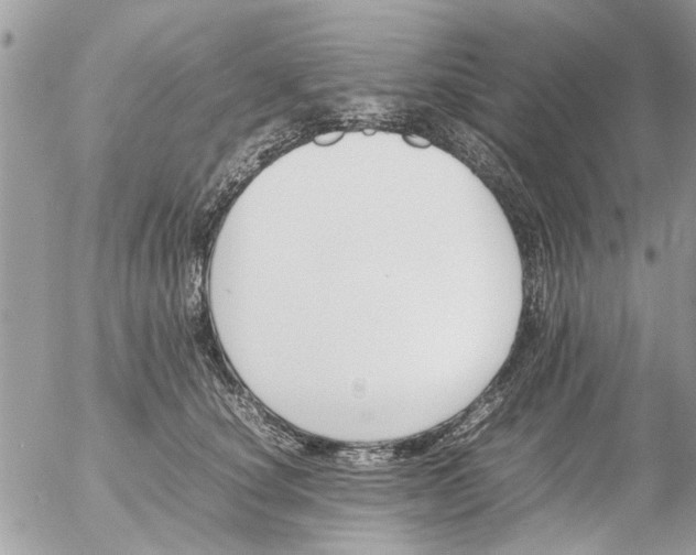 X0000054430660200508262349