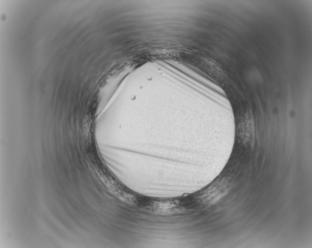 X0000054430662200508262349