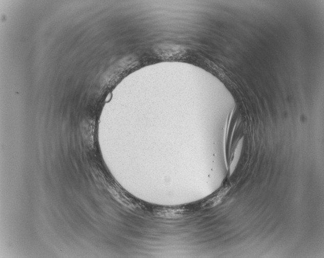 X0000054430664200508262349