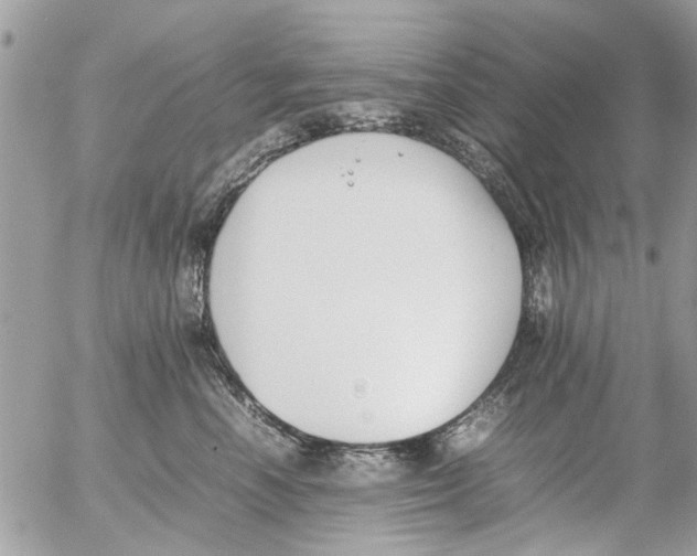 X0000054430666200508262349