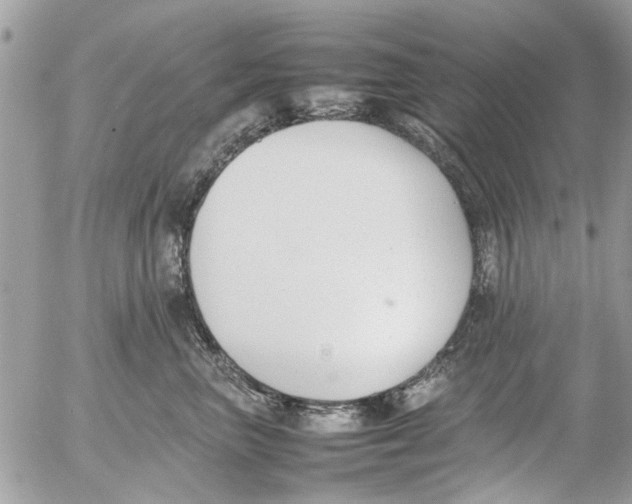 X0000054430667200508262349