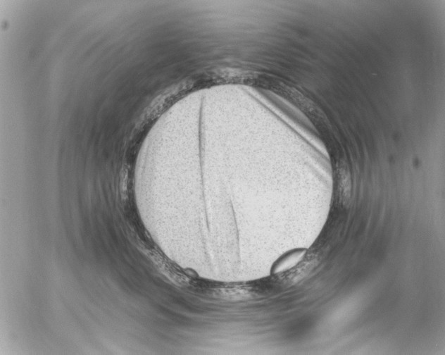 X0000054430668200508262349