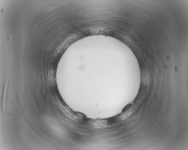 X0000054430670200508262349