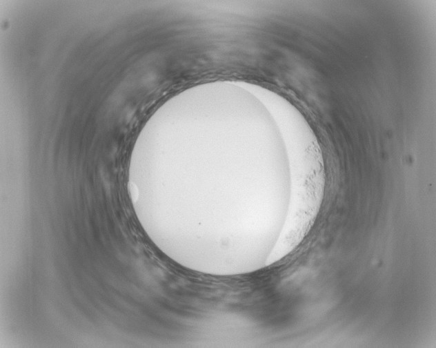 X0000054430672200508262349