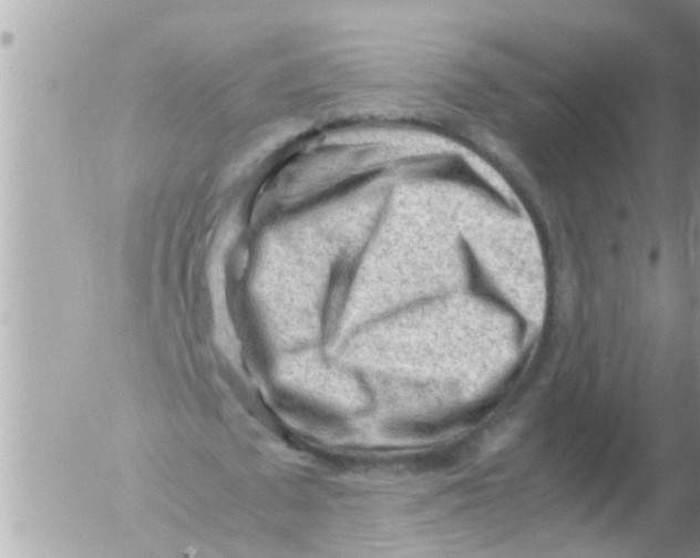 X0000054430673200508262348