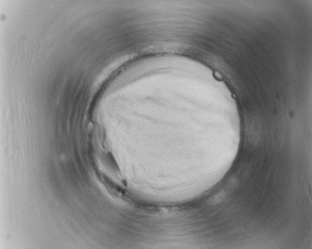 X0000054430674200508262348