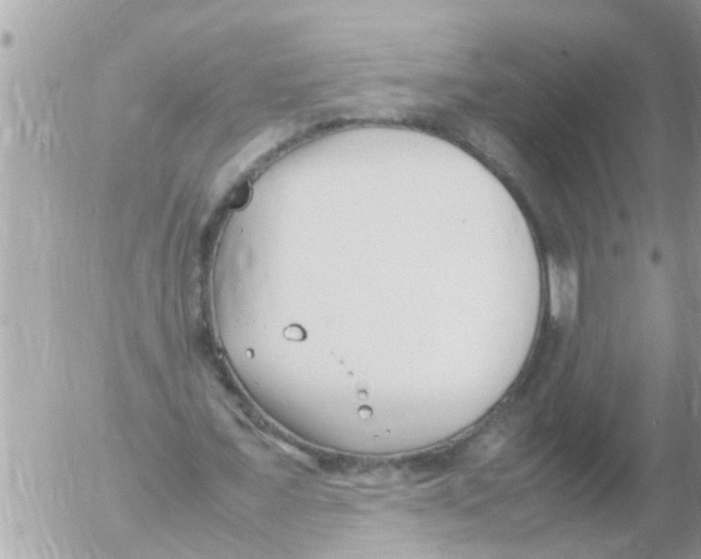 X0000054430675200508262348