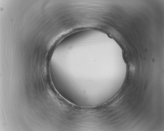 X0000054430676200508262348