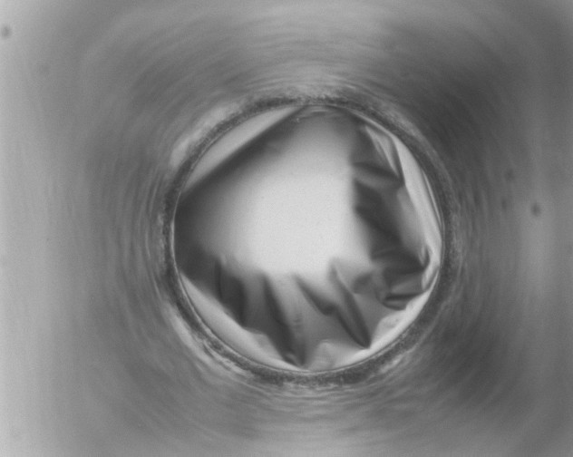 X0000054430677200508262348