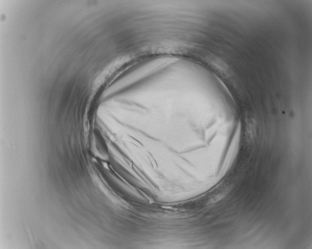 X0000054430678200508262348