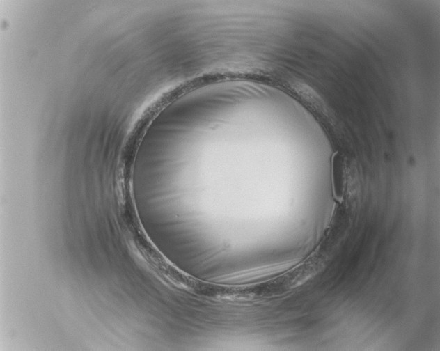 X0000054430680200508262348