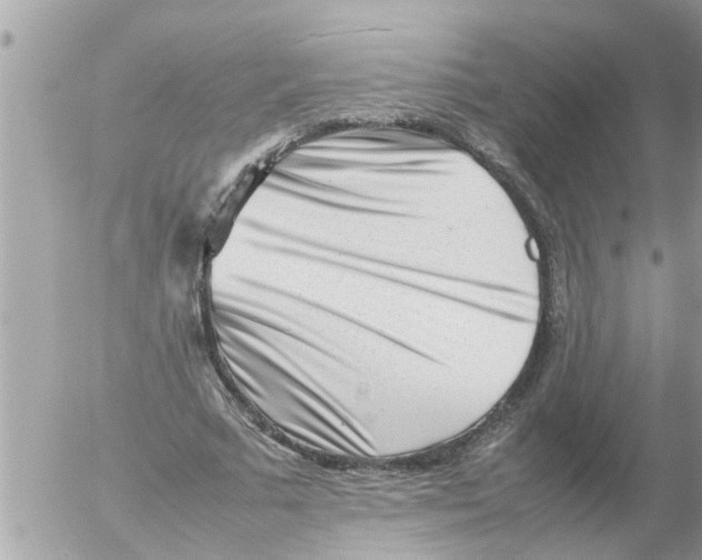 X0000054430681200508262348