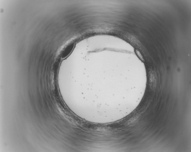 X0000054430684200508262348