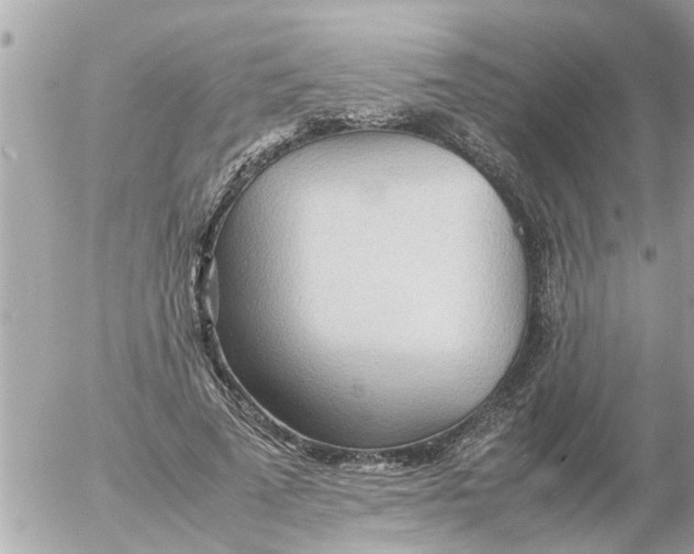 X0000054430689200508262348