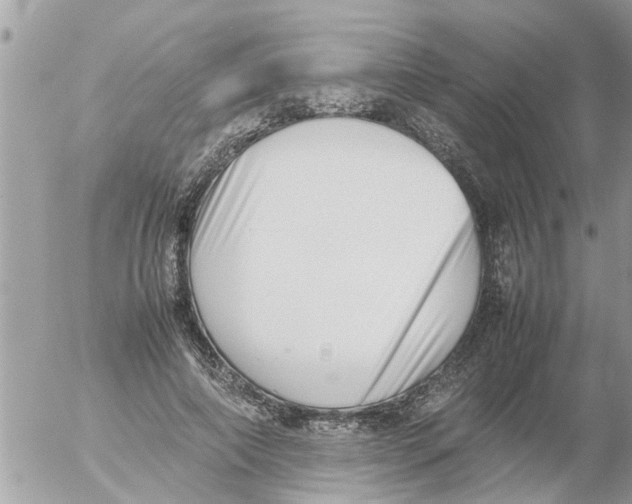 X0000054430690200508262348