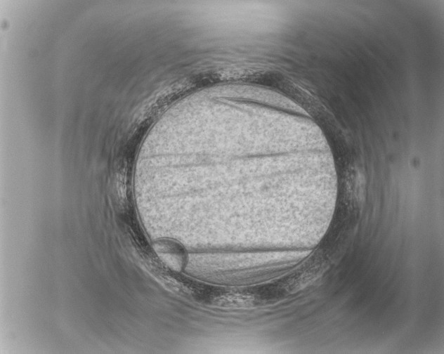 X0000054430691200508262348