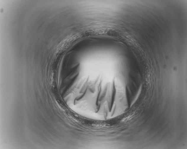 X0000054430693200508262348