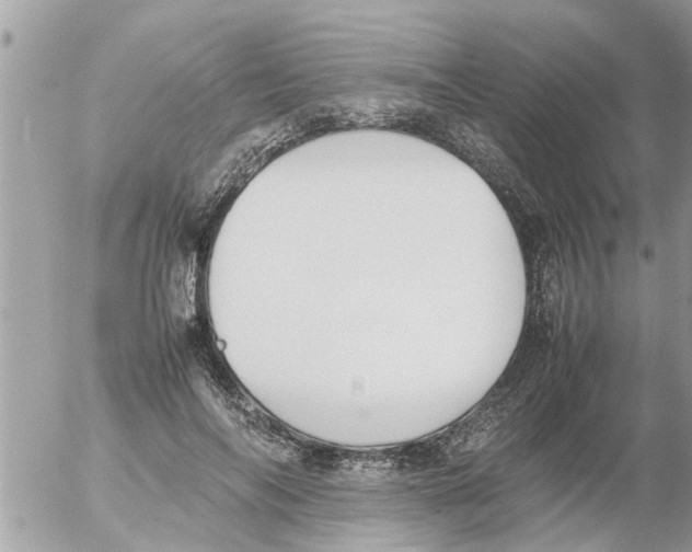 X0000054430694200508262348