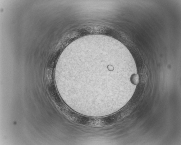 X0000054430695200508262348