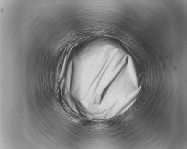 X0000054430696200508262348