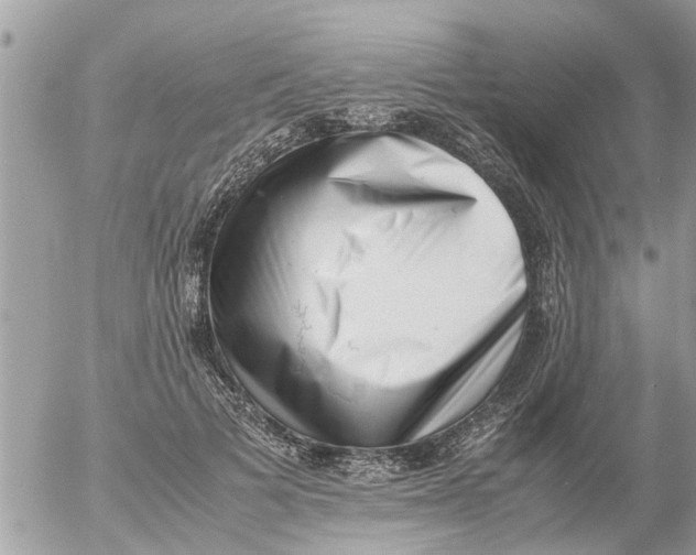 X0000054430697200508262348