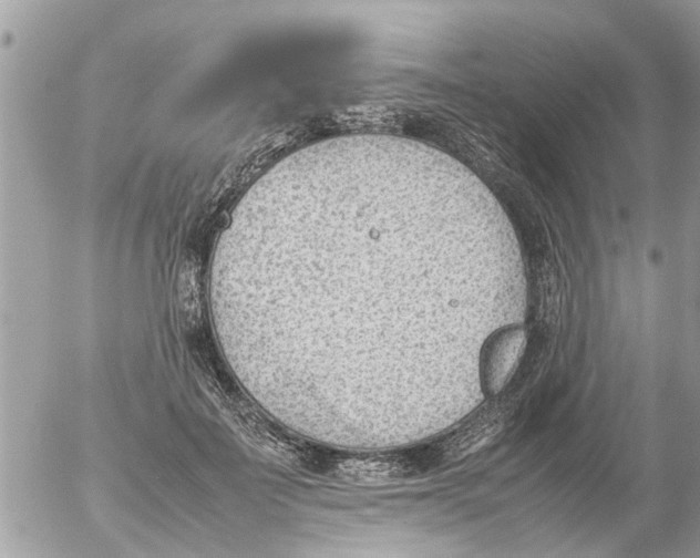 X0000054430699200508262348