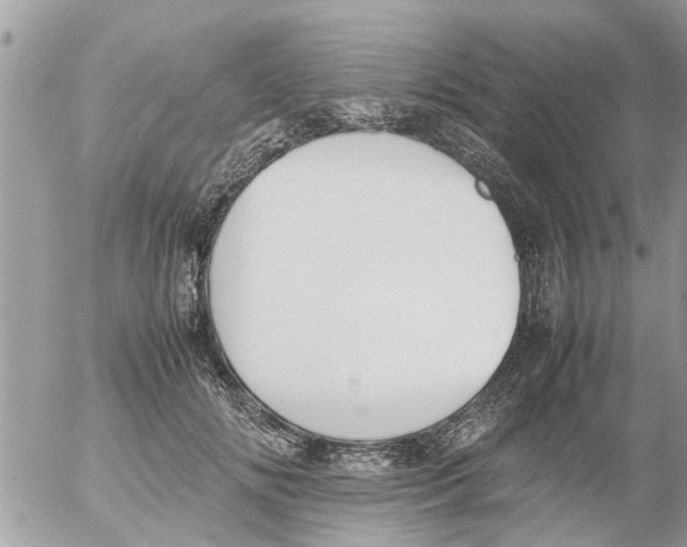 X0000054430702200508262347