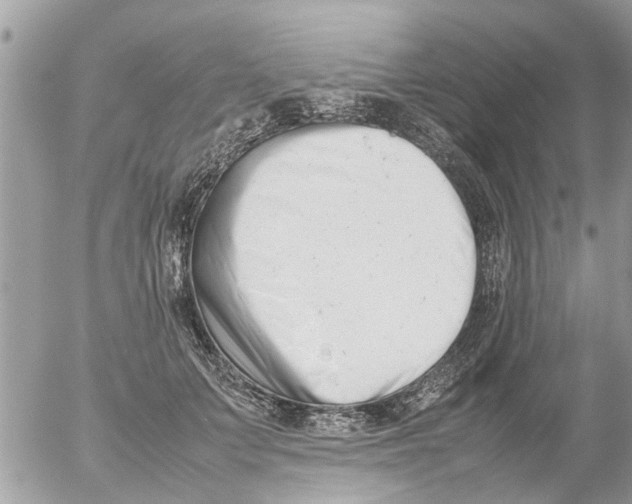 X0000054430703200508262347