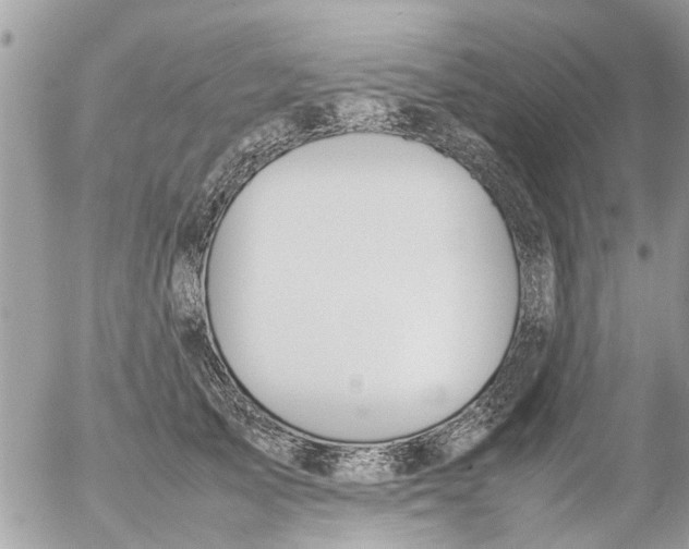 X0000054430705200508262347