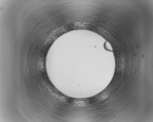 X0000054430706200508262347