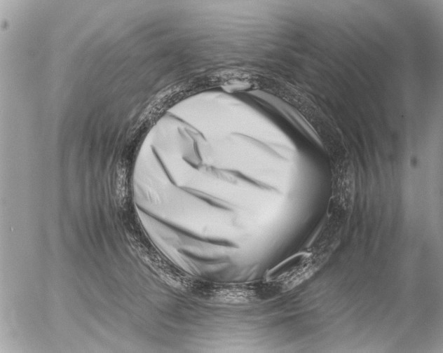 X0000054430708200508262347