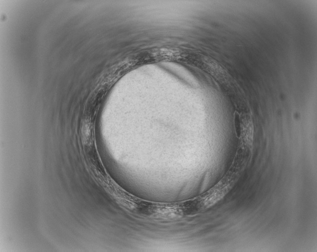 X0000054430709200508262347