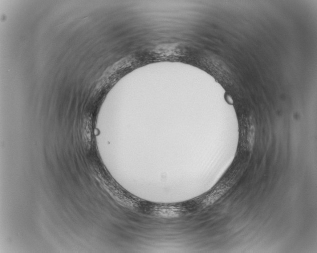 X0000054430710200508262347