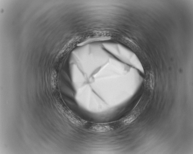 X0000054430712200508262347