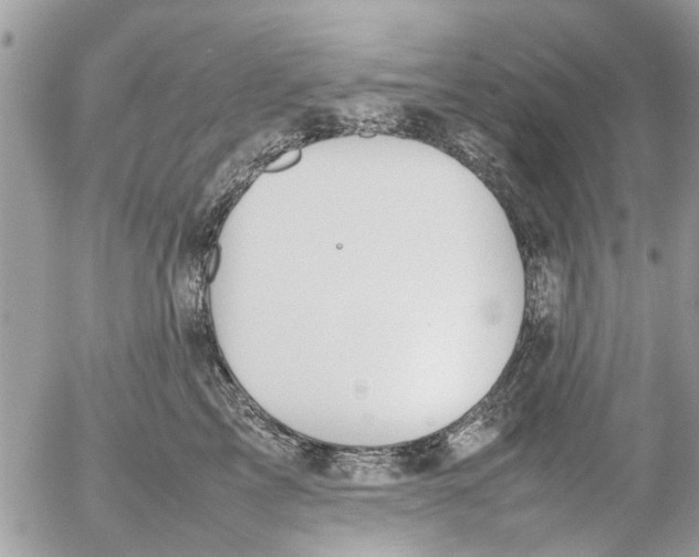 X0000054430713200508262347